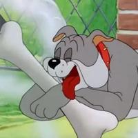 爱吃瓜的斯派克头像