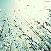 绯蓝之城的个人资料头像