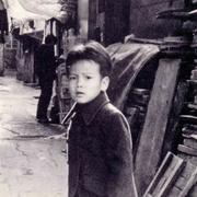 朱建伟的个人资料头像