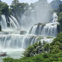 神秘溪水6t头像