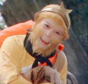 灼_的个人资料头像