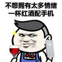 商业软件服务商头像