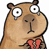 可怜巴拉丶头像