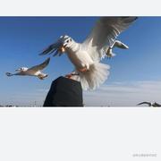 george10的个人资料头像