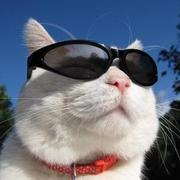 hourouer的个人资料头像