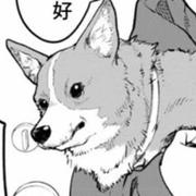 雾岛夜尘的个人资料头像