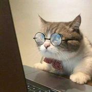 偷橘子的的个人资料头像