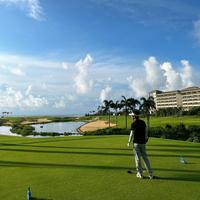 BigBoss125663762头像