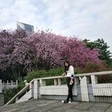 2007788519头像