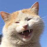 徐倩爸爸头像