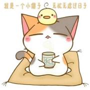 咚咚咚556的个人资料头像