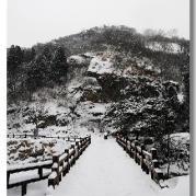 坐看水立方的个人资料头像