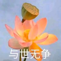 自在小羊uTI头像