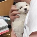 小頋473头像