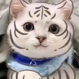 路边摊405头像