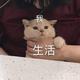 紫色6837头像