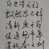 远方的兔子啊头像