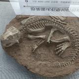 用户6846532406340头像