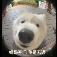 阿杨头像