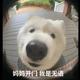 阿杨头像