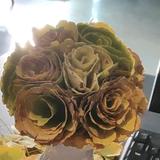 自由自在芭头像