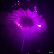 令狐大公子的个人资料头像