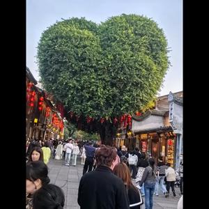 fyz笑看人生头像