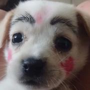 ActSpirits的个人资料头像