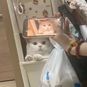 小浩Official的个人资料头像