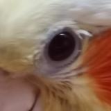 用户683562023991头像