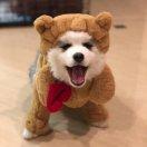 JUN60315的个人资料头像