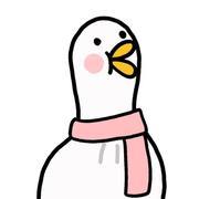 tokki的个人资料头像