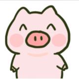 superPIG头像