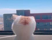 叶随秋去不知寒的个人资料头像