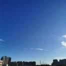 王逸的个人资料头像