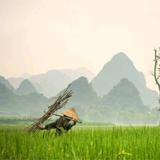 黄译锌290头像