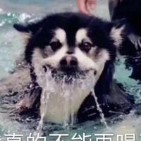 用户名字是秘密头像