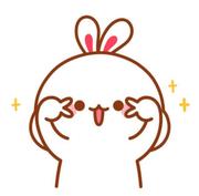 直尾巴的小浣熊的个人资料头像