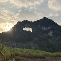 青岛是个大岛头像