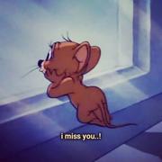 Superman的个人资料头像