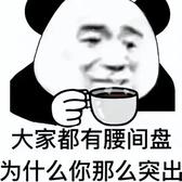 揽巡巡游版车主头像