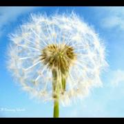 ayang的个人资料头像