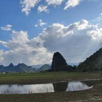 明灯指引头像