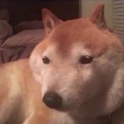 Kryptonian的个人资料头像