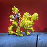 自由的芒果kLs头像