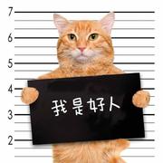 用户5498634371810的个人资料头像