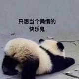 橙子皮啊头像