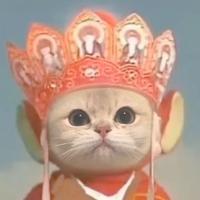 用户9118069178259头像