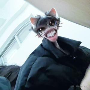 🧳 我的 React Trip 之旅（5）：我的 AI 聊天机器人，今天又把用户气笑了