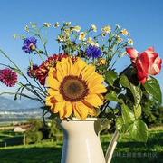 0b1000001的个人资料头像